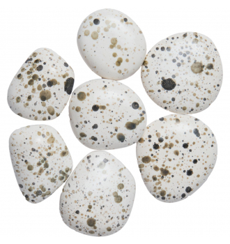 Камни белые с цветной крапинкой - 7 шт. (ZeFire)