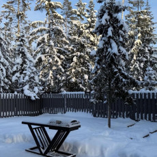 photo_2026-03-03 12.34.55